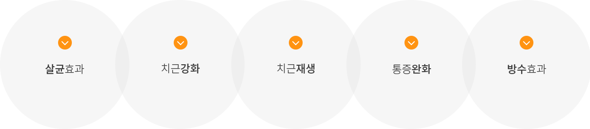 살균효과,치근효과,치근재생,통증완화,방수효과